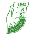 Pelikan Łowicz badge