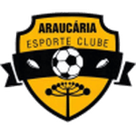 Araucaria U20