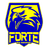 Forte FC