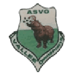 ASVO badge