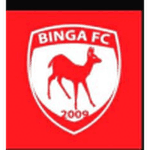 Binga badge