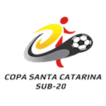 Copa Santa Catarina