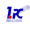 Bruchsal badge