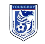 Dalian Yingbo B badge