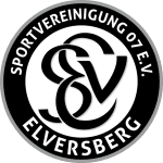 Elversberg U19 badge