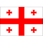 Georgia U21 badge