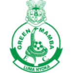 Green Mamba badge