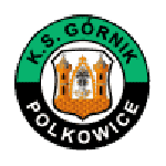 Górnik Polkowice