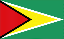 Guyana badge