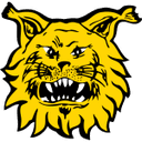 Ilves