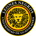Leones Negros