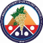 Mazıdağı Fosfatspor