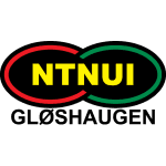 NTNUI badge