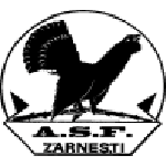 Olimpic Zărneşti badge