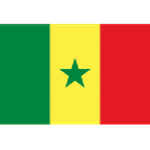 Senegal W badge