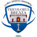 Tricolorul Breaza